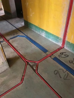 大树英格澜