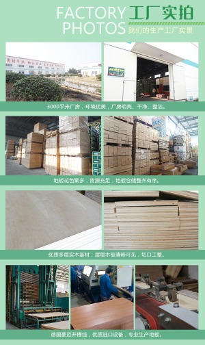 公司介绍