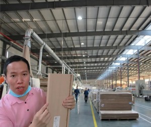公司介绍
