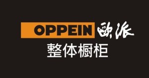 公司介绍
